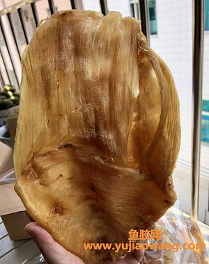 白花膠和黃花膠的功效一樣嗎